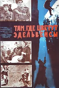 Главный постер фильма «Там, где цветут эдельвейсы (1965)»