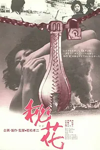 Постер к фильму «Тайный цветок (1971)»