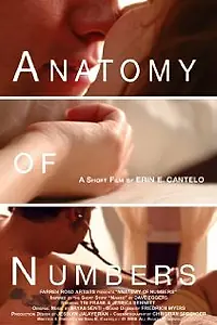 Постер к фильму «Anatomy of Numbers (2008)»