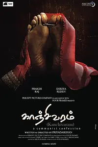 Главный постер фильма «Свадебное сари (2008)»