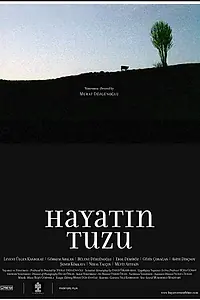 Главный постер фильма «Hayatin Tuzu (2008)»