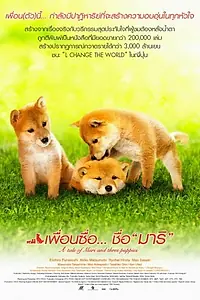 Постер к фильму «История Мари и трёх щенков (2007)»