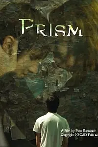 Постер к фильму «Prism (2008)»