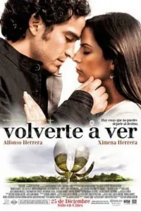 Главный постер фильма «Вновь видеть тебя (2008)»