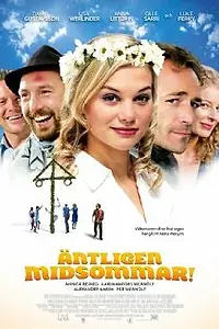 Постер к фильму «Летняя комедия (2009)»