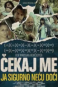 Постер к фильму «Жди меня, я точно не приду (2009)»