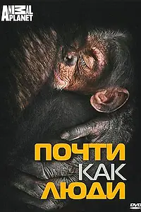 Главный постер фильма «Discovery: Почти как люди (2007)»