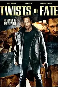 Постер к фильму «Twists of Fate (2009)»