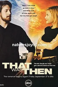 Постер к сериалу «Это было тогда (2002)»