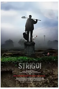 Главный постер фильма «Стригой (2009)»