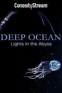 Главный постер фильма «Глубокий океан: Свет в бездне (2016)»