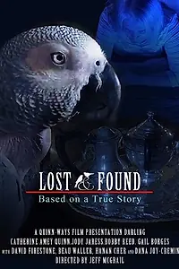 Постер к фильму «48 hour Lost & Found (2020 IV) (2020)»