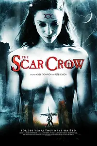 Главный постер фильма «Раненый ворон (2009)»