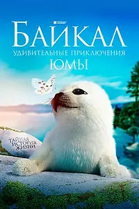 Постер к фильму «Байкал. Удивительные приключения Юмы (2020)»