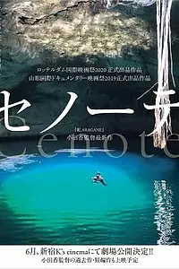 Постер к фильму «Cenote (2019)»