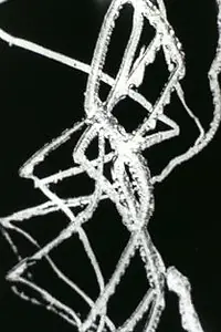 Постер к мультфильму «Свободные радикалы (1958)»