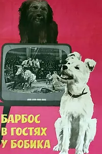 Главный постер фильма «Барбос в гостях у Бобика (1964)»