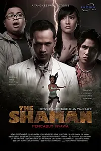 Постер к фильму «Шаман (2008)»