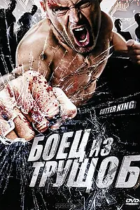 Главный постер фильма «Боец из трущоб (2010)»