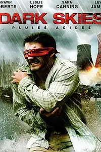 Главный постер фильма «Темные небеса (2009)»
