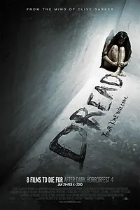 Постер к фильму «Страх (2009)»