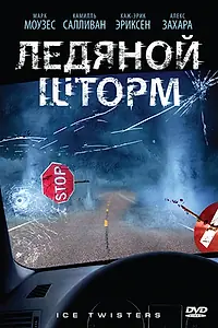 Главный постер фильма «Ледяной шторм (2009)»