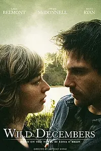 Постер к фильму «Безумные декабри (2009)»