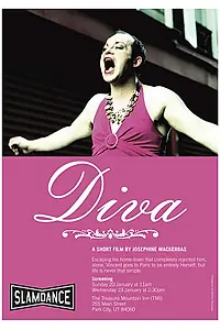 Постер к фильму «Diva (2007)»