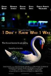 Постер к фильму «I Didn't Know Who I Was (2008)»