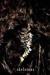 Постер к фильму «Skeletons (2008)»