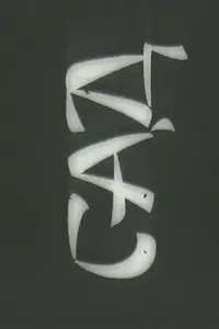 Постер к фильму «Сад (1983)»