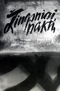 Постер к фильму «Шаги в ночи (1963)»