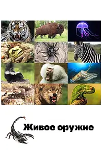 Главный постер сериала «Живое оружие (2016)»