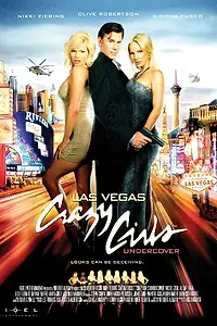 Постер к фильму «Безумные девчонки-агенты (2008)»