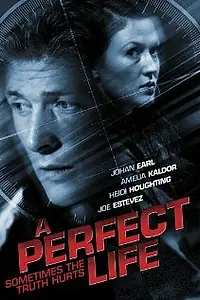 Главный постер фильма «Идеальная жизнь (2010)»