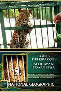 Главный постер фильма «НГО: Тайны призраков: Леопарды Болливуда (2002)»