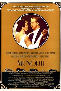 Постер к фильму «Мистер Норт (1988)»