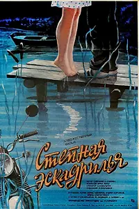 Главный постер фильма «Степная эскадрилья (1986)»