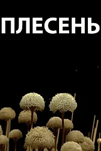 Постер к фильму «Плесень (2009)»