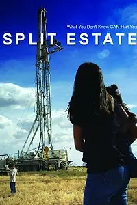 Постер к фильму «Split Estate (2009)»
