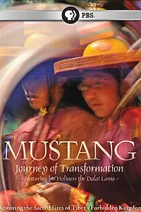 Главный постер фильма «Мустанг: Поездка преобразования (2009)»