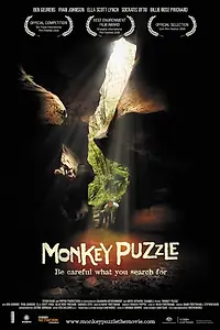 Постер к фильму «Monkey Puzzle (2008)»