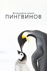 Главный постер фильма «Встречайте семью пингвинов (2020)»