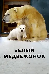 Главный постер фильма «Белый медвежонок (2018)»