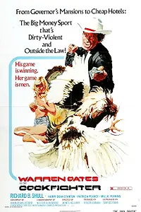 Главный постер фильма «Бойцовский петух (1974)»