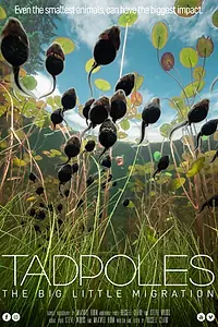 Главный постер фильма «Tadpoles: The Big Little Migration (2020)»