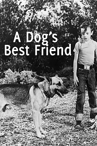 Главный постер фильма «A Dog's Best Friend (1959)»