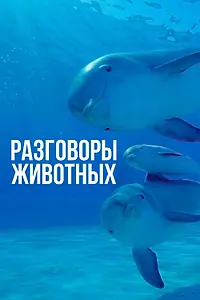 Постер к сериалу «Разговоры животных (2018)»