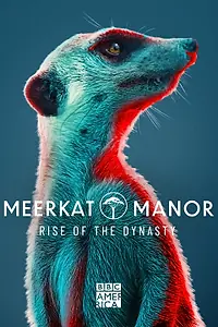 Главный постер сериала «Meerkat Manor: Rise of the Dynasty (2021)»