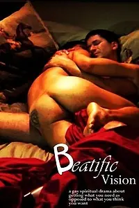 Главный постер фильма «Прекрасное виденье (2008)»